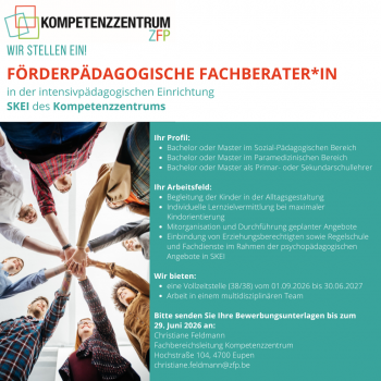 KI 2026 06 12 DV Ausschreibung FFB SKEI 2.png